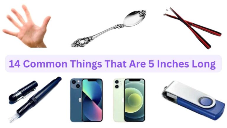 14 Common Things That Are 5 Inches Long