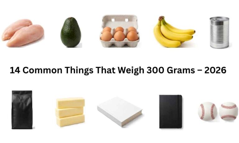 14 Common Things That Weigh 300 Grams – 2026