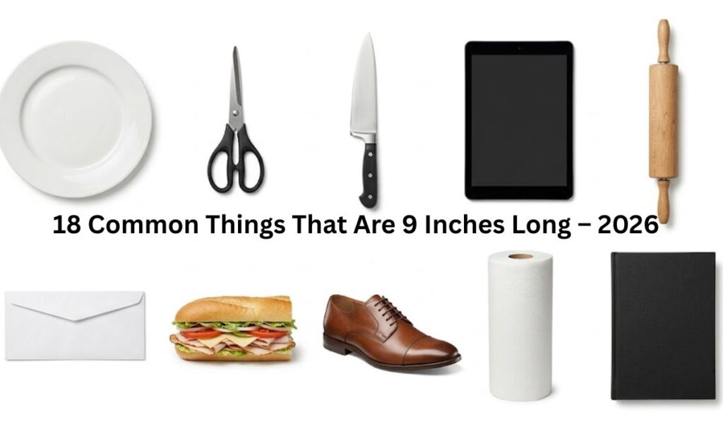 18 Common Things That Are 9 Inches Long – 2026