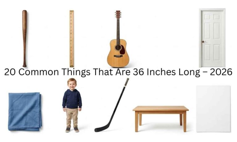 20 Common Things That Are 36 Inches Long – 2026 (1)