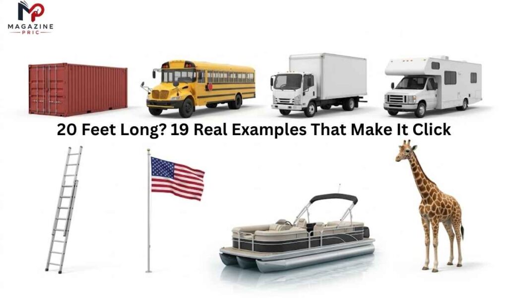20 Feet Long 19 Real Examples That Make It Click